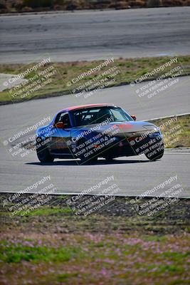 media/Feb-18-2024-Extreme Speed (Sun) [[27751ef890]]/Green Group/